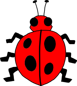 beetle%20clipart