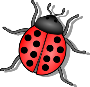 beetle%20clipart