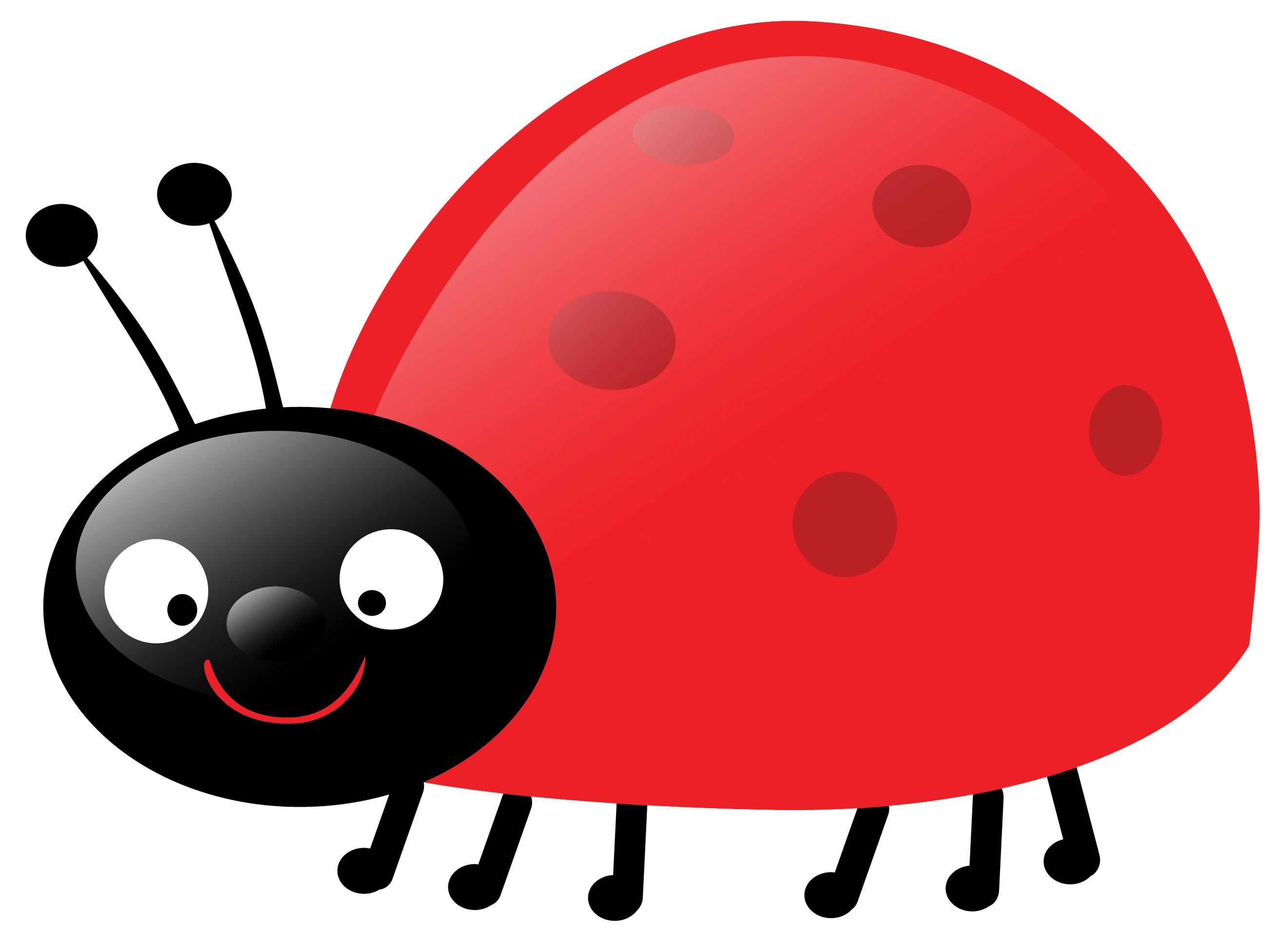 ladybug clipart