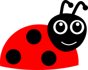 realistic%20ladybug%20drawing