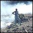 Burning trees to clear land in Mau forest, Kenya