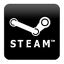 Steam