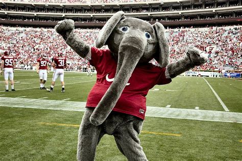 Big AL! Alabama Mascot, University Of Alabama, Alabama Baby, Alabama ...