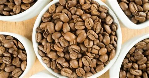 8 Best Light Roast Coffee: Flavor and Caffeine Content Reviewed