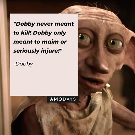 38 Dobby Quotes to Remind Us of Our Forever-Treasured Free Elf from ...