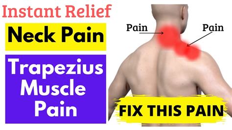 Quick Neck Pain Relief Stretch | Neck Muscle Stiffness Release ...