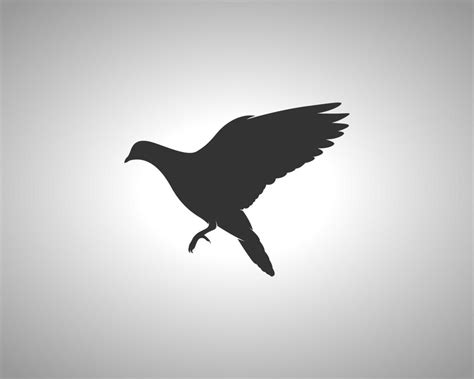 Pigeon Vector Silhouette 21069515 Vector Art at Vecteezy