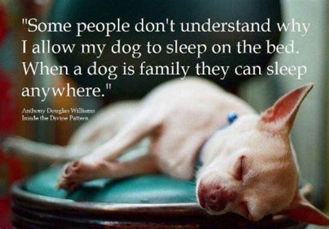 Quotes About Sleeping Dogs. QuotesGram