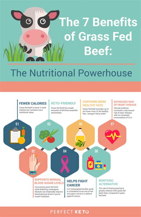 The 7 Benefits of Grass Fed Beef: The Nutritional Powerhouse