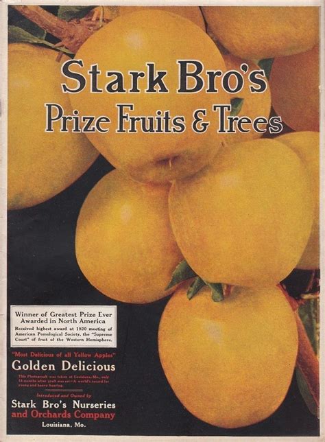 1922 Fruits Trees Catalog Stark Brothers Nurseries & Orchards Co ...