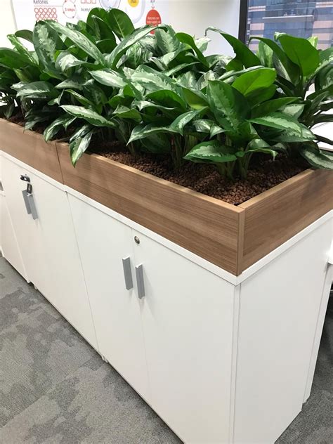 Cabinets with planters #officeempire | Растения