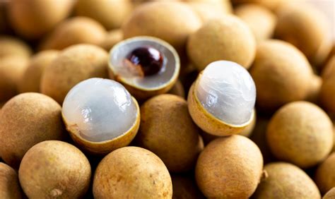 Amazing Benefits Of Longan Fruit | Pragativadi | Odisha News, Breaking ...