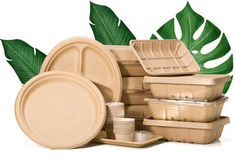 Biodegradable Packaging, Eco Friendly Packaging, Kraft Packaging