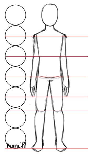 How To Draw Human Body Proportions