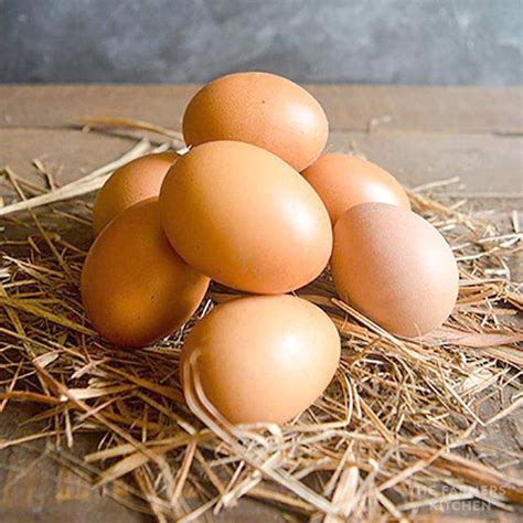 Organic Free Range Eggs - Ganico Organic Estate