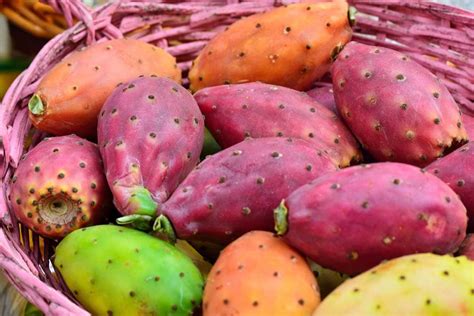 13 Edible Prickly Pear Varieties and Taste Profile | luv2garden.com