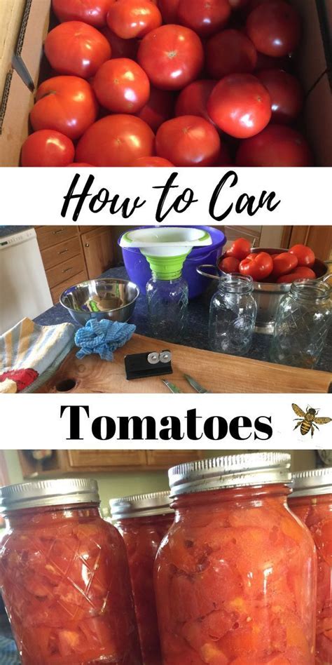 Canning Tomatoes: Water-Bath and Pressure-Canning Recipes | How to can ...