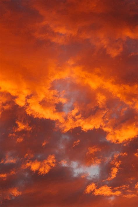 Free download | HD wallpaper: orange, clouds, sky, cloud - sky, orange ...