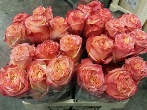 #Rose # Ecuador #Lovely Hearts Available at www.barendsen.nl | Rose ...