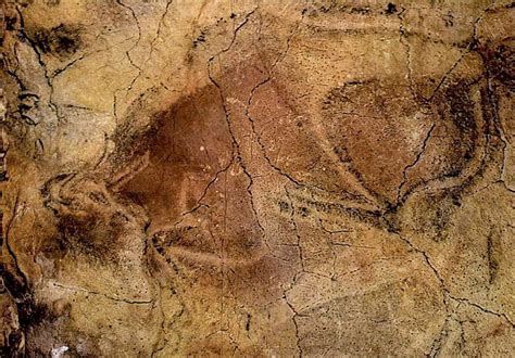 Altamira Cave Paintings | Cave paintings, Prehistoric art, Painting