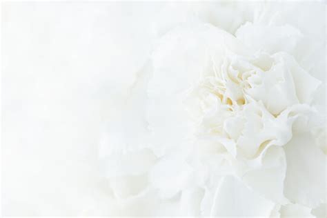 10,578 BEST "Wedding Background" IMAGES, STOCK PHOTOS & VECTORS | Adobe ...