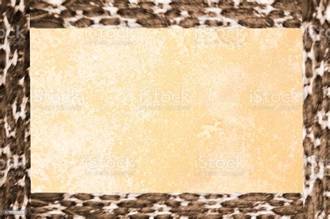 Blank Parchment Card With Animal Print Border Stock Photo - Download ...