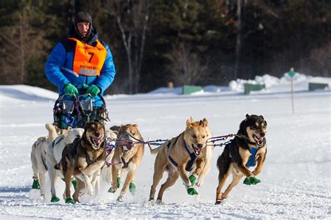 Moosehead Area Wilderness Sled Dog Race 2023