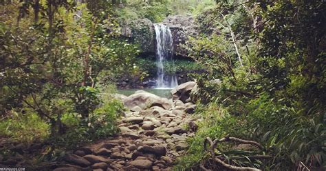 Twin Falls Maui | Photos, Video & Local Tips for the Road to Hana