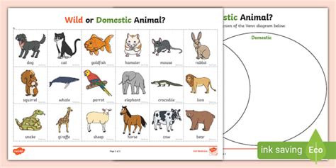 Wild or Domestic Animal? Sorting Activity (teacher made)