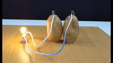 Potato Light Bulb Experiment Explanation | Americanwarmoms.org