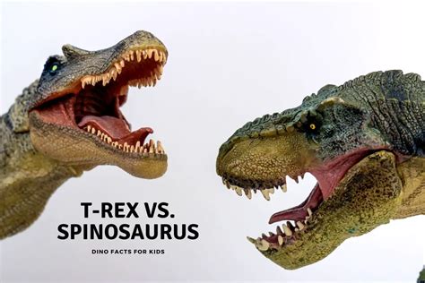 T-Rex Vs. Spinosaurus - Dinosaur Facts For Kids