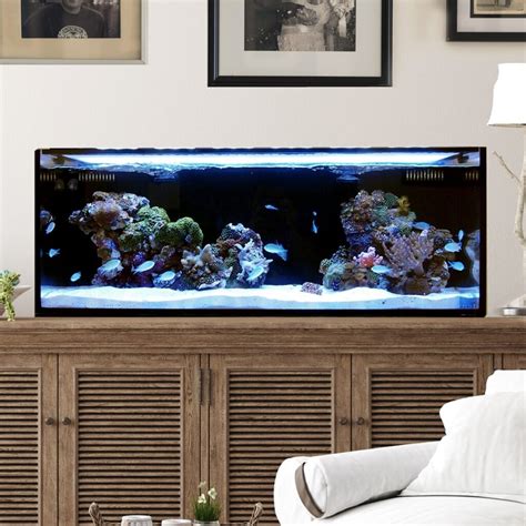 The Best 30 Gallon Fish Tanks & Aquariums For The Money 2022