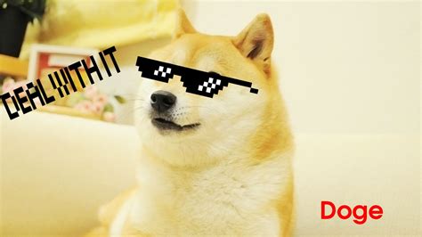 Doge background ·① Download free cool wallpapers for desktop and mobile ...