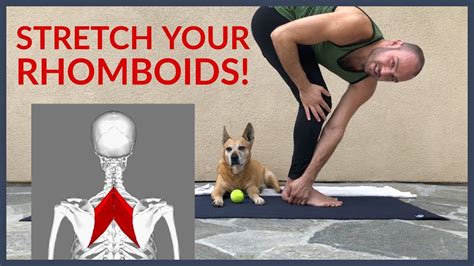 Stretch for Upper Back Pain (Rhomboid Pain) with Antranik - YouTube