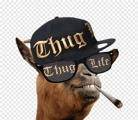 Thug Life Internet meme Video, snoop dogg, celebrities, hat, meme png ...