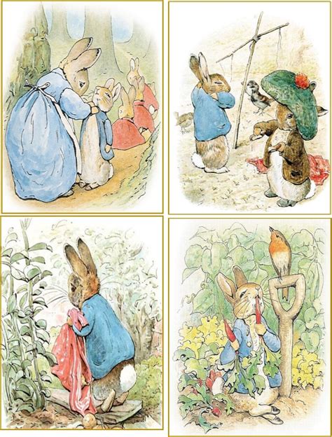 Beatrix Potter Illustrations