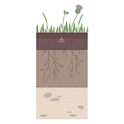 Soil parameters and abiotic factors - Biodiversity Monitoring South Tyrol