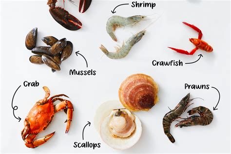 The 9 Most Popular Types of Shellfish | The Kitchn