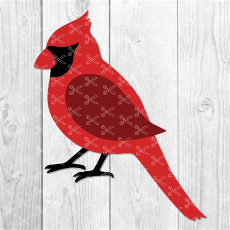 Cardinal Bird SVG DXF PNG Cut Files for Cricut and Silhouette