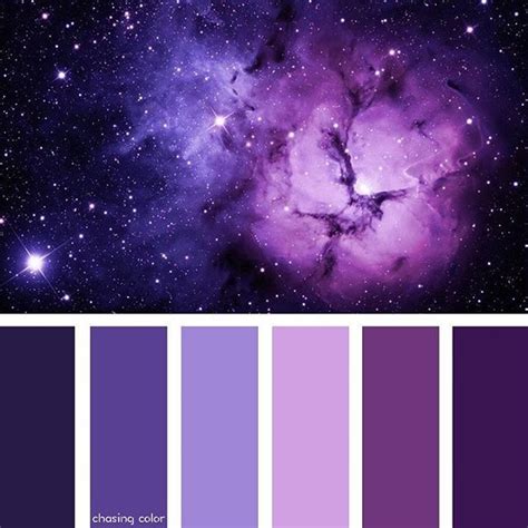 Shades of purple cosmos (photo credit * wallpho.com) #chasin | Purple ...