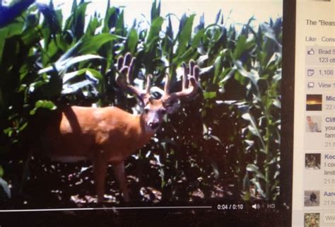 Giant Typical Buck on Trail Cam! - Big Deer