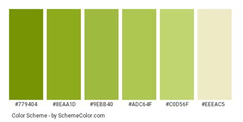 Green Inside Of Kiwi Color Scheme » Green » SchemeColor.com