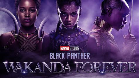 1920x1080 Resolution Black Panther: Wakanda Forever HD Trinity 1080P ...