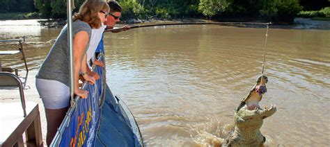 Adelaide River Jumping Crocodile Cruise - Book Now | Experience Oz