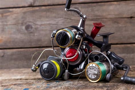 Types of Fishing Reels: Their Differences & Which to Choose