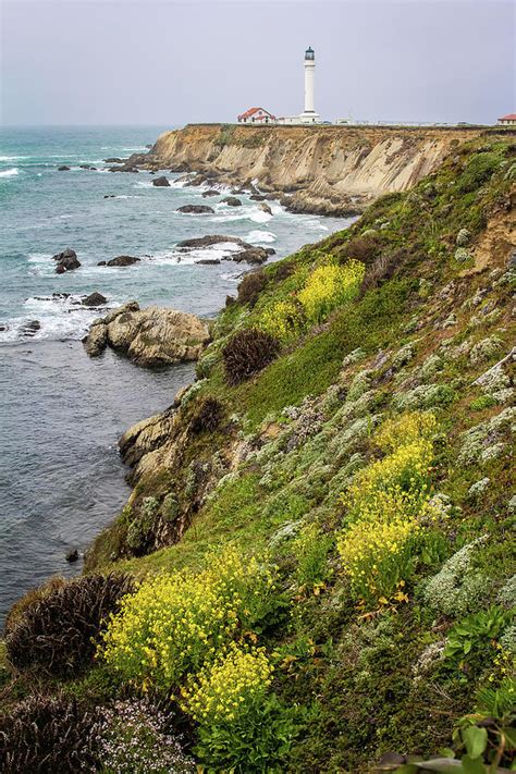 Point Arena Lighthouse Photograph by Jennifer McMahon - Fine Art America