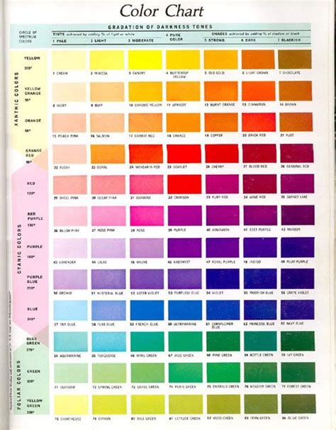 Color Palette Popular Colors Color Chart Patterns And Names Rgb Hex ...