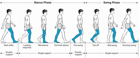 Why Your Big Toe Matters & What Your Bunion Is Actually Telling You ...