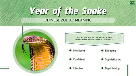 Chinese Zodiac Snake Symbol