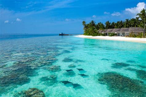 15 Things You Didn't Know About The Maldives — The Second Angle